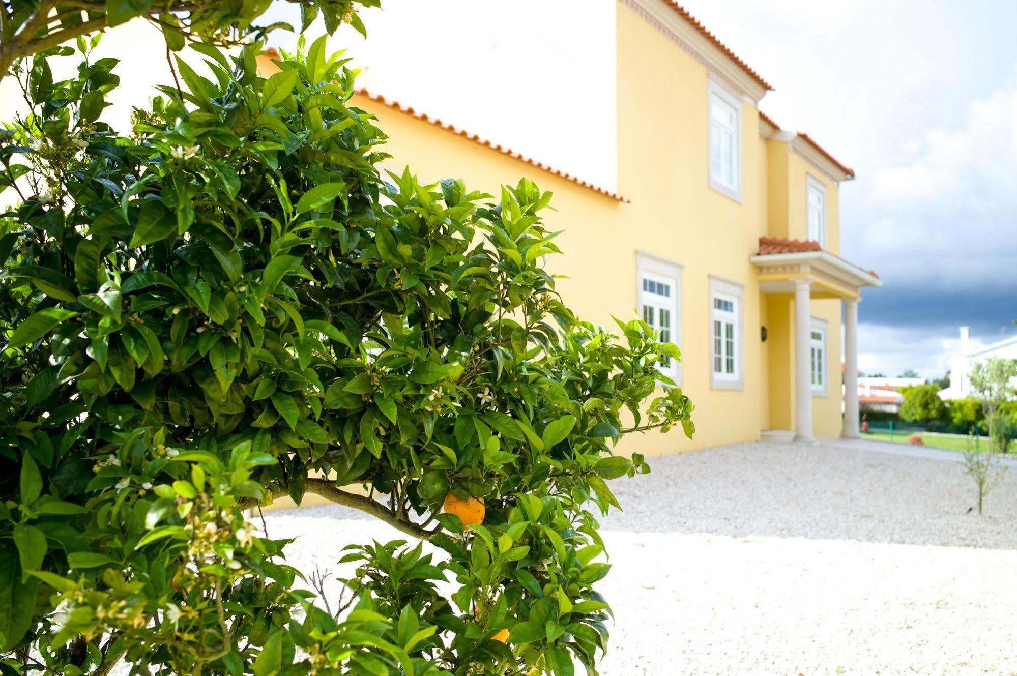 Bed and Breakfast Casa Pedra Nobre Nadadouro Экстерьер фото